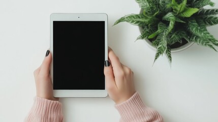 Minimalist Flat Lay of Tablet and Plant