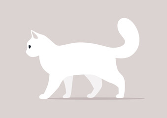 A white cat, with its tail held high, walks with a confident stride against a gentle pastel backdrop, embodying both grace and playfulness in the midday ambiance