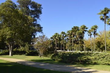 Caminho no parque