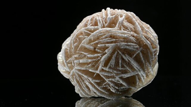 'Desert Rose' - Baryte (barium sulphate) rotating slowly against a black background [Tunisia]