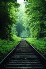 Obraz premium Railroad Tracks Through Lush Green Forest Nature Travel and Adventure