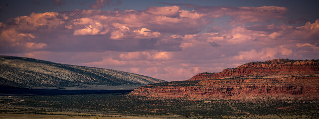 Overlooking the Grand Canyon