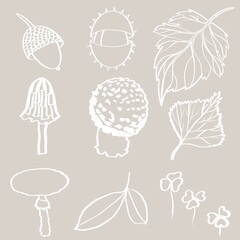 ornament, decoration, handmade, holiday, nut, acorn, colorful leaves and different shapes and colors, various mushrooms, chestnut, autumn, autumn mood