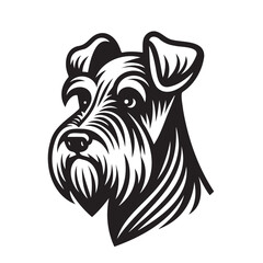 drawing of Schnauzer dog
Schnauzer dog head logo, vector outlines illustration on white background, Schnauzer set. Collection of pedigree dogs. Black white illustration of a schnauzer dog. Vector