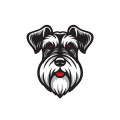 drawing of Schnauzer dog
Schnauzer dog head logo, vector outlines illustration on white background, Schnauzer set. Collection of pedigree dogs. Black white illustration of a schnauzer dog. Vector