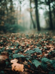 Obraz premium Green Forest Landscape