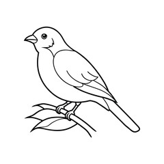 A delicate vector illustration of birds perched on a branch against a whiter background. Perfect for nature-themed designs, decorative elements, or minimalist art projects.
