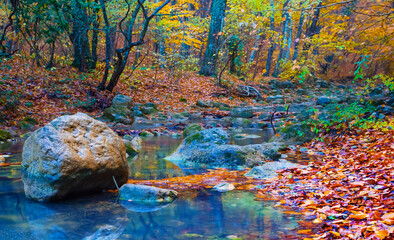 small mountain river rushing through canyon covered by red dry leaves