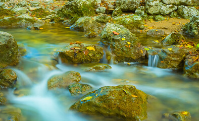 small mountain river rushing through canyon covered by red dry leaves