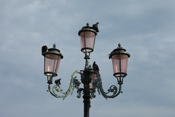 Decorative street lamp with pigeons standing on it