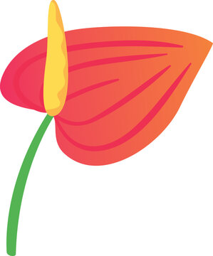 red anthurium flower, yellow spadix, green stem clip art preview