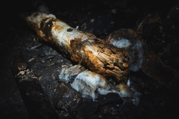 A solitary piece of wood can be seen lying quietly on the ground amidst the darkness, blending seamlessly in with the surrounding environment, making it almost invisible to the naked eye