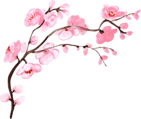 Pink flower branch, watercolor painting hand-drawn illustration