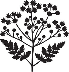 silhouette feverfew flower vector art illustration. Isolated on transparent background