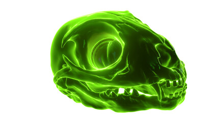 neon cat skull
