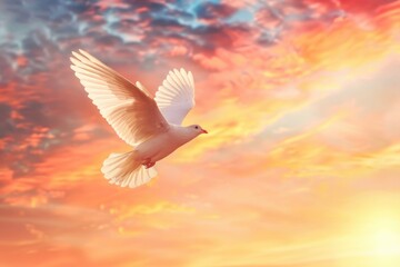 White bird flying in sunset