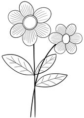 hand drawn flower