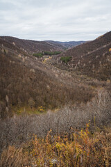 A slightly outoffocus image showcasing a picturesque valley that is adorned with lush trees, while majestic mountains rise prominently in the background, creating a stunning landscape