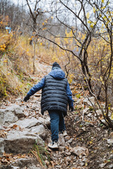 Naklejka premium A person is leisurely walking up a rugged and rocky path that winds its way through the beautiful and serene woods, surrounded by natures tranquility and the soothing sounds of the forest