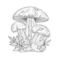Porcini mushrooms.Coloring book antistress for children and adults.