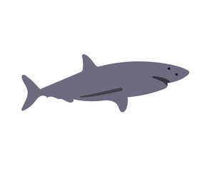 Fototapeta premium Vector Art, Icons, and Graphics Design for Ocean Animal Shark