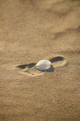 a bare foot print on the sand by the sea with a flower petal.