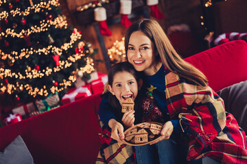 Photo of two peaceful people mother daughter covered blanket eat cookies new year xmas garland lights apartment indoors