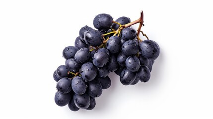 Fototapeta premium Captivating Close-up: Exquisite Black Grapes in All Their Glory, Isolated on a White Background (16: