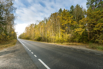 A road with trees on the side and a clear blue sky