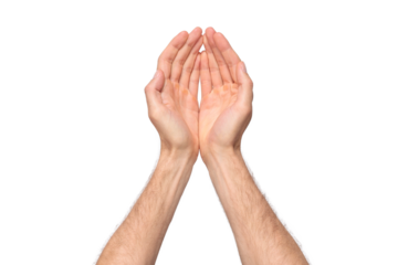Top view of male hands clasped together in a begging or holding gesture, palms slightly cupped. The hands are isolated on a transparent background, PNG file, conveying a sense of request, offering, or