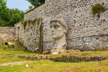 The Head of Constantine the Great and some sheep and goats who wander freely around the fortified Berat Castle, southern Albania. 3.5m high limestone sculpture dating from 330AD.