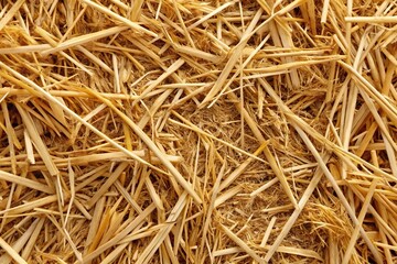 Close-up of dried straw texture background