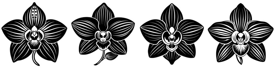 line art vector illustration collection of orchid with wood cutting style. isolate on a white background. SVG and PNG
