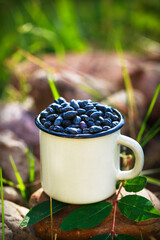 Fresh ripe summer edible blue honeysuckle in enamel mug