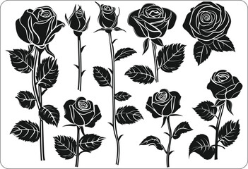 set of black and white flowers