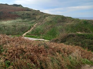 Fototapeta premium path to the sea