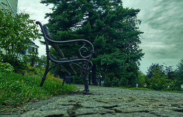 Decorative bench with iron structure and wooden planks. Park bench. Place to rest, sitting, ornamental bench. View from the ground up, autumn, season.