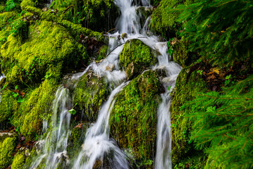 Wodospad w zieleni, spływający po kamieniach © grzegorz_pakula