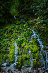 Wodospad w zieleni, spływający po kamieniach © grzegorz_pakula