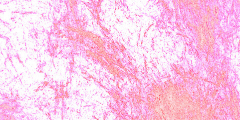 Abstract colorful watercolor background for your design Watercolor fantastic and grungy background. Multicolor watercolor background for textures .Colored powder explosion on white background