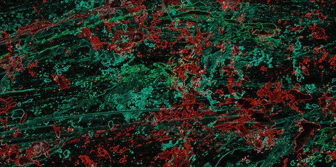 Vector grunge gold texture isolated on black. Multicolor marble texture background design creative design. Multicolor abstract modern Natural luxury- trendy style background. Trendy black marble.	