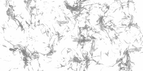 Luxury white paper texture with speckled grunge black and white smoke texture art design. Monochrome gray smoke design abstract background. Beautiful stylist modern texture background with smoke
