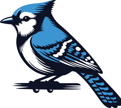 recommend clip art: Beautiful Blue Jay Bird vector silhouette