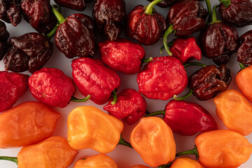 Variety of Spicy Peppers Including Aji Limo, Habanero, and Carolina Reaper on a Vibrant Background