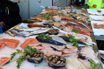 A fishmonger's counter full of fish, crustaceans and molluscs for sale