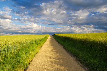 Grain fields and clouds, Swiss agriculture