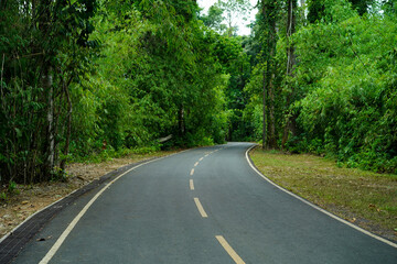 Empty curved concrete roadway winds through a green nature park with trees in the forest, Thailand.