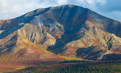Scenic Autumn Landscape in Denali National Park Alaska