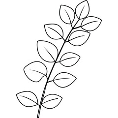 Eucalyptus Line Drawing Art.