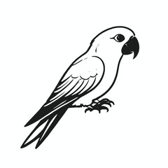 Fototapeta premium A black and white illustration of a parrot 